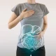 Gut Health